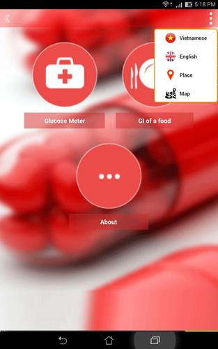 Glucose meter