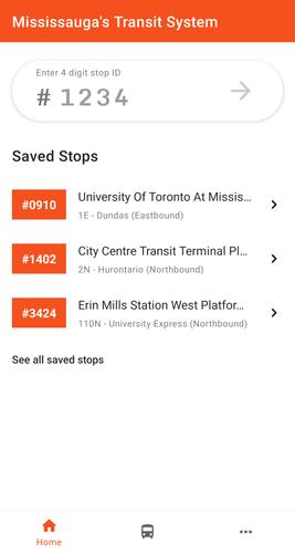 Mississauga's Transit System